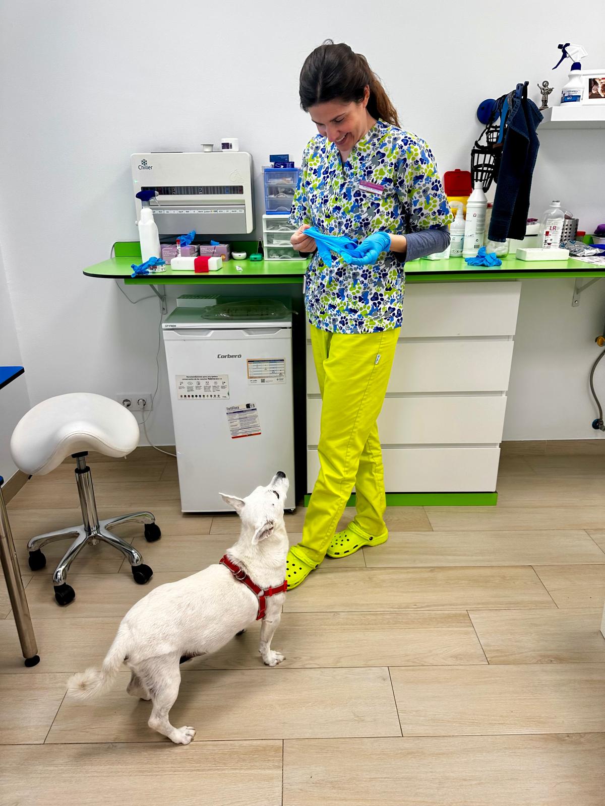 Consulta-veterinaria-para-gatos